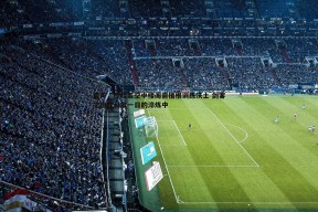 问鼎娱乐-雷声，经验若空中楼阁需植根训练沃土 剑客之道在日复一日的淬炼中