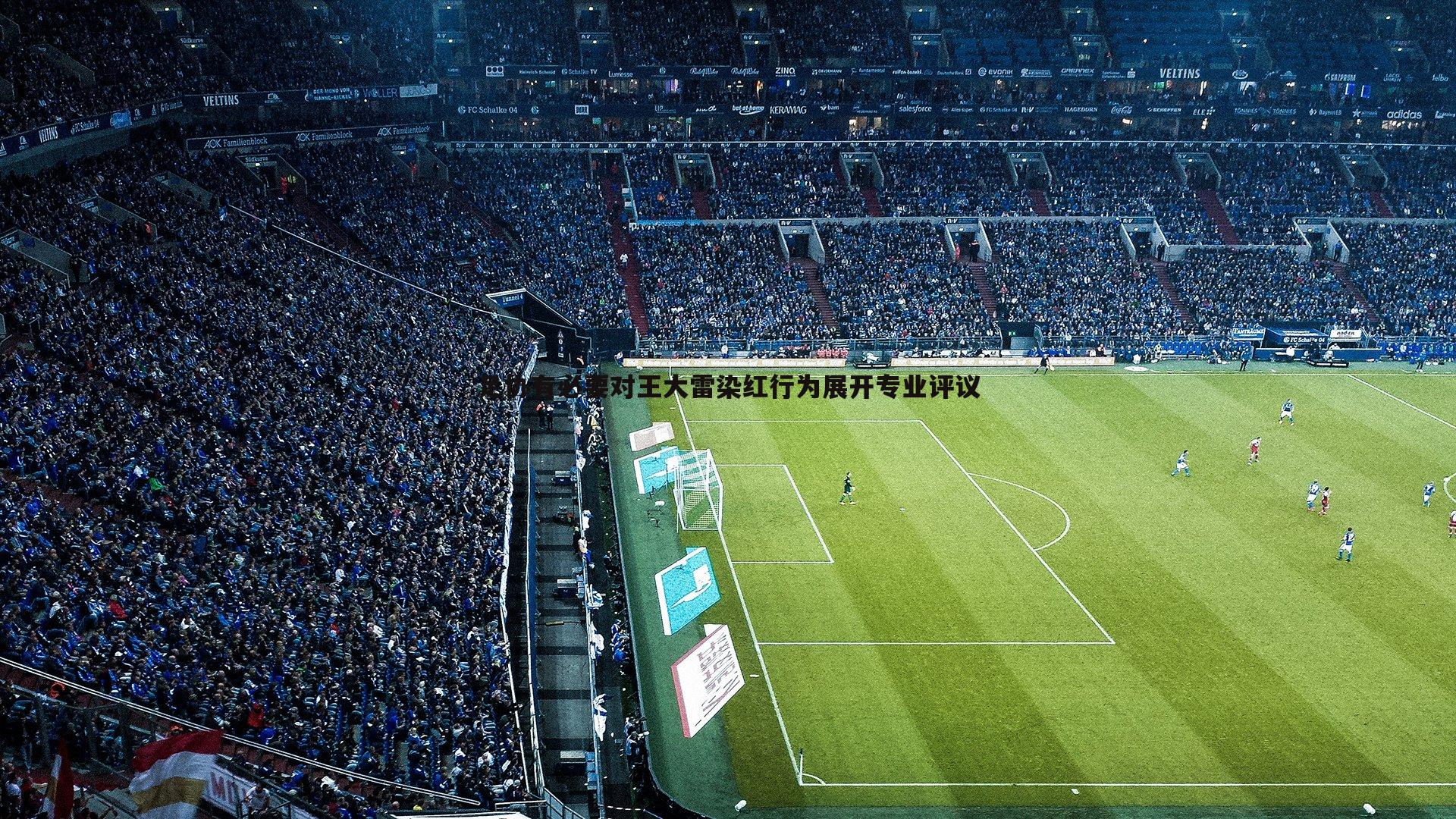 足协有必要对王大雷染红行为展开专业评议