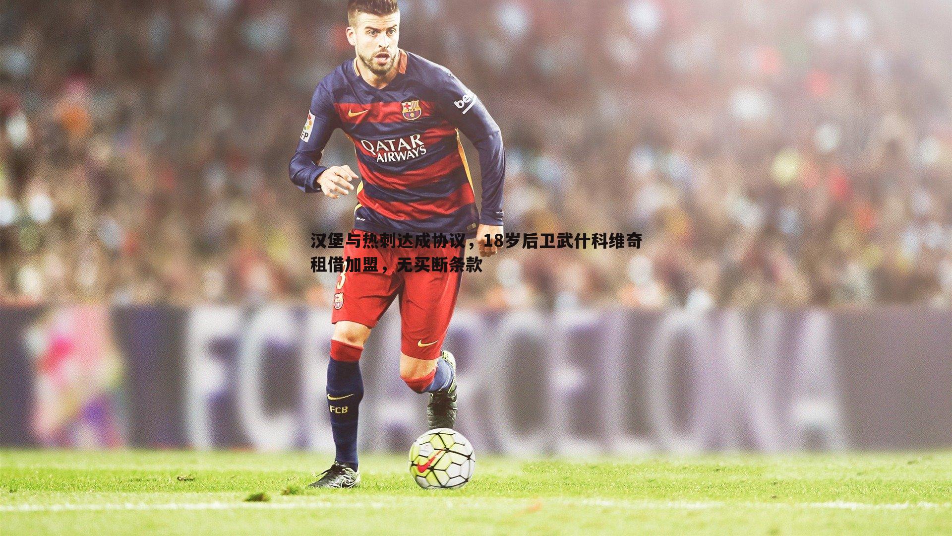 汉堡与热刺达成协议,18岁后卫武什科维奇租借加盟,无买断条款