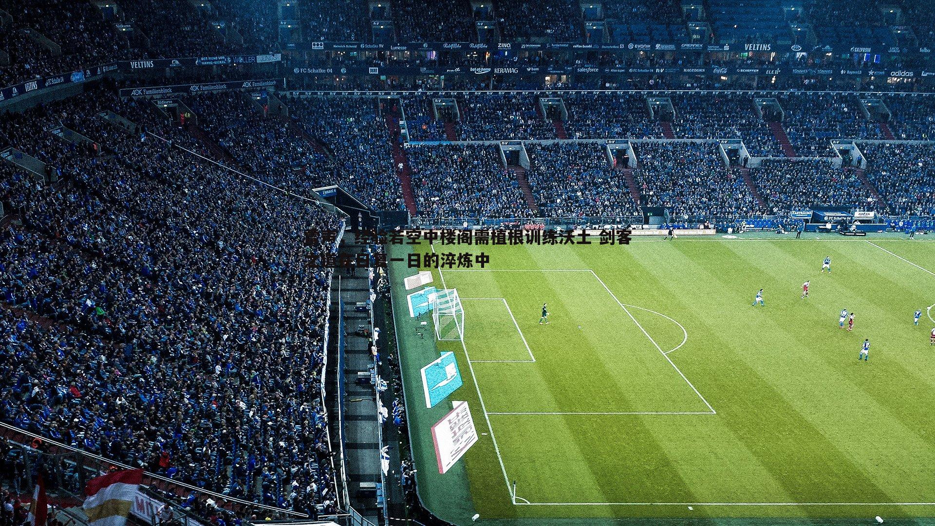 雷声,经验若空中楼阁需植根训练沃土 剑客之道在日复一日的淬炼中